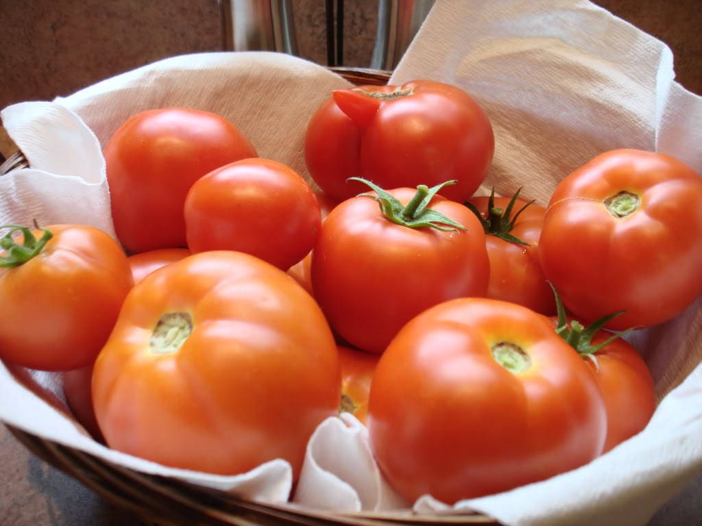 200 Red RUTGERS TOMATO Lycopersicon Globe Determinate 8 oz Fruit Vegetable Seeds