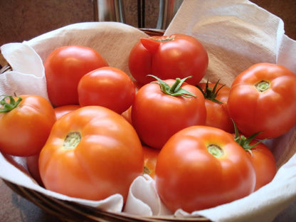 200 Red RUTGERS TOMATO Lycopersicon Globe Determinate 8 oz Fruit Vegetable Seeds
