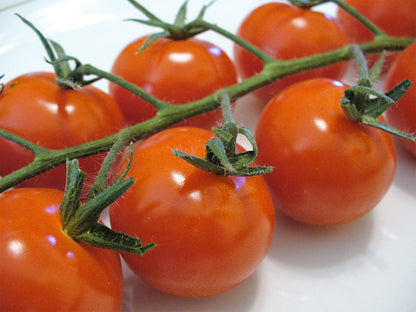 100 Red Sweetie Cherry Tomato Seeds