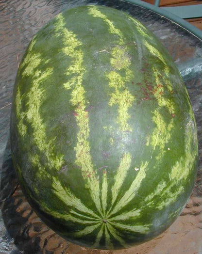 20 Cal Sweet Supreme Watermelon (Citrullus Lanatus) Seeds