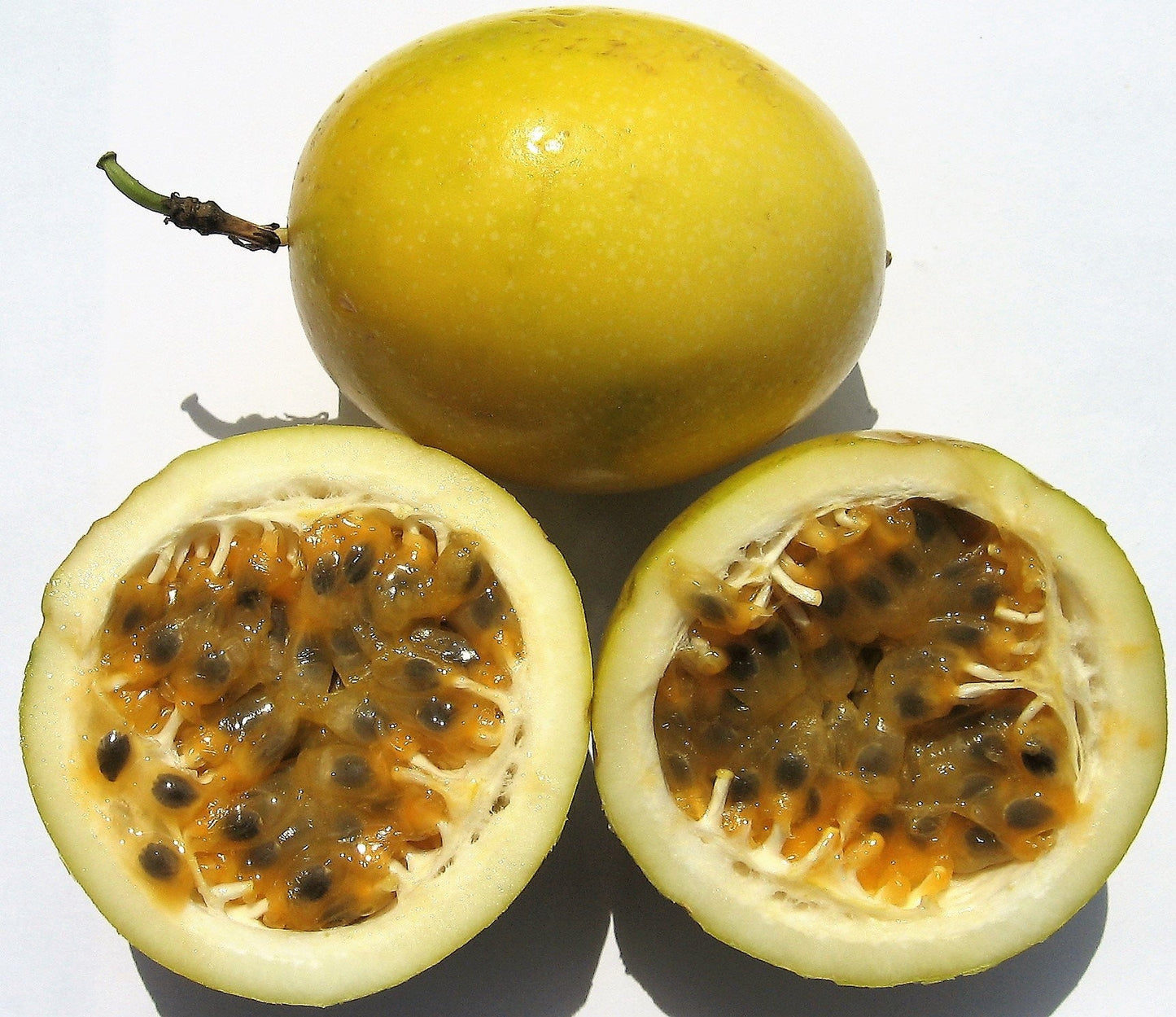 10 Yellow Passion Fruit  (Passiflora Edulis Flavicarpa) Seeds