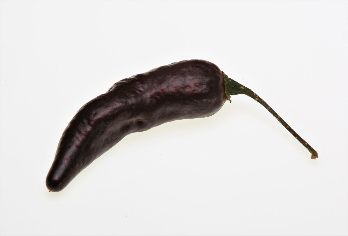 20 ROYAL BLACK PEPPER Capsicum Annuum Very Hot Chilli Vegetable Seeds