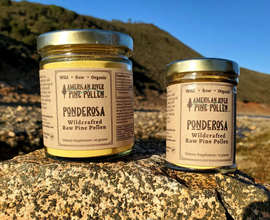 Ponderosa Pine Pollen Electuary