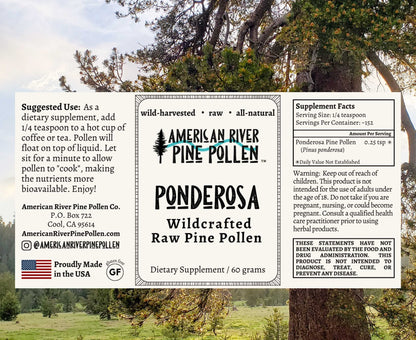 Ponderosa Pine Pollen Electuary