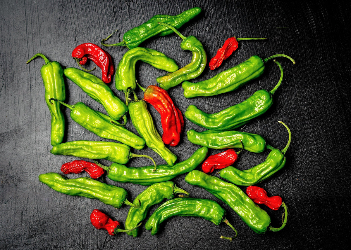 50 Shishito Pepper (Capsicum Annuum) Seeds