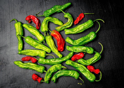 50 Shishito Pepper (Capsicum Annuum) Seeds
