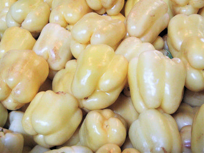 50 WHITE CLOUD BELL PEPPER Sweet Mild Capsicum Annuum Vegetable Seeds