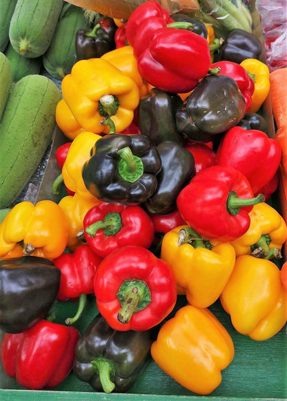 150 Rainbow Bell Pepper (Capsicum Annuum) Seeds