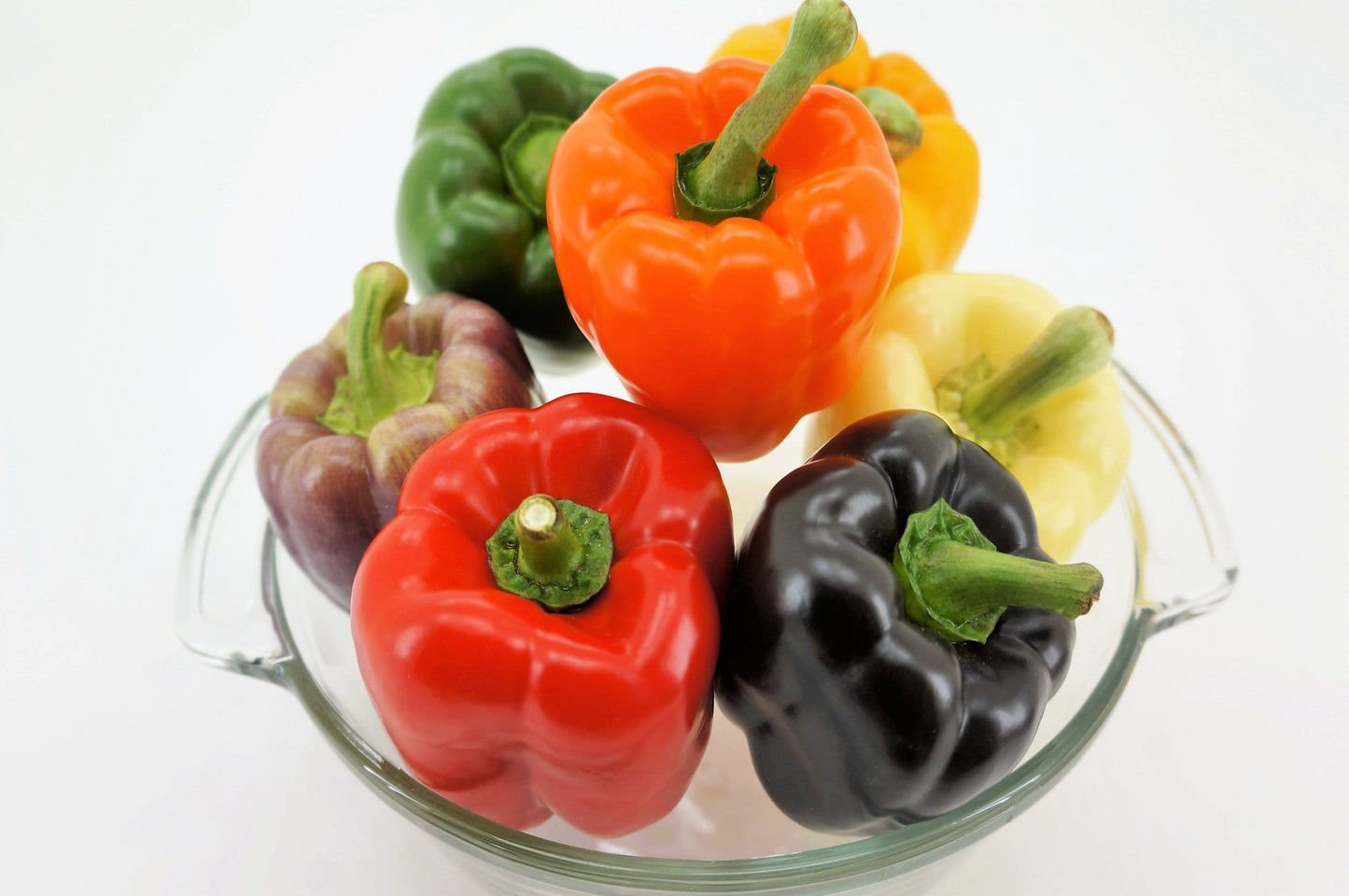 150 Rainbow Bell Pepper (Capsicum Annuum) Seeds