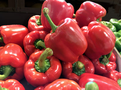 20 Mini Bell Pepper (Capsicum Annuum) Seeds