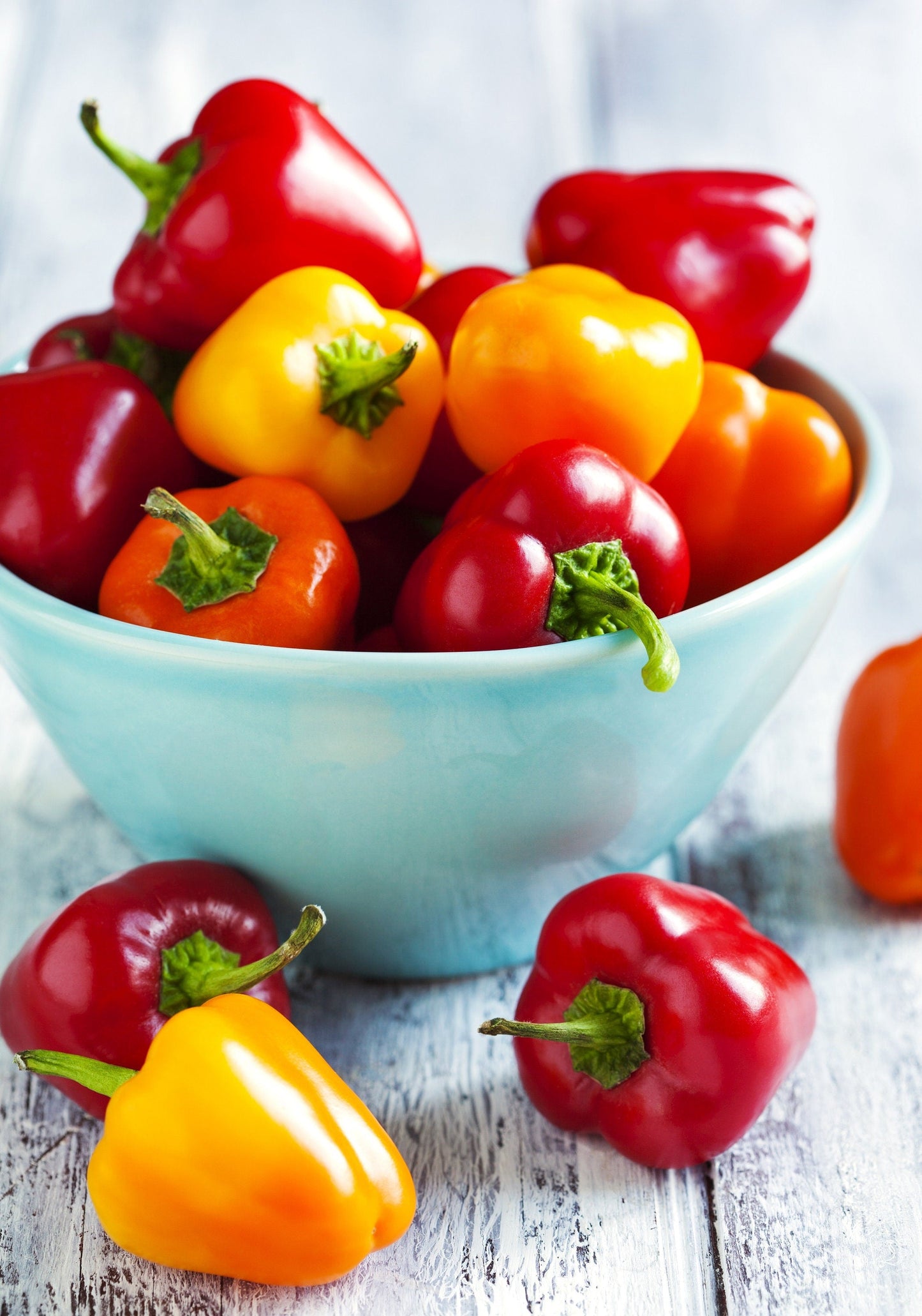 20 Mini Bell Pepper (Capsicum Annuum) Seeds