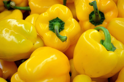 20 Organic Yellow MINI BELL PEPPER Sweet Mild Miniature Capsicum Annuum Vegetable Seeds