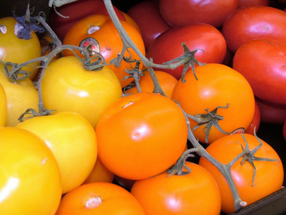 100 Orange cherry Tomato (Solanum Lycopersicum) Seeds