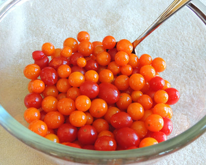 100 Orange cherry Tomato (Solanum Lycopersicum) Seeds