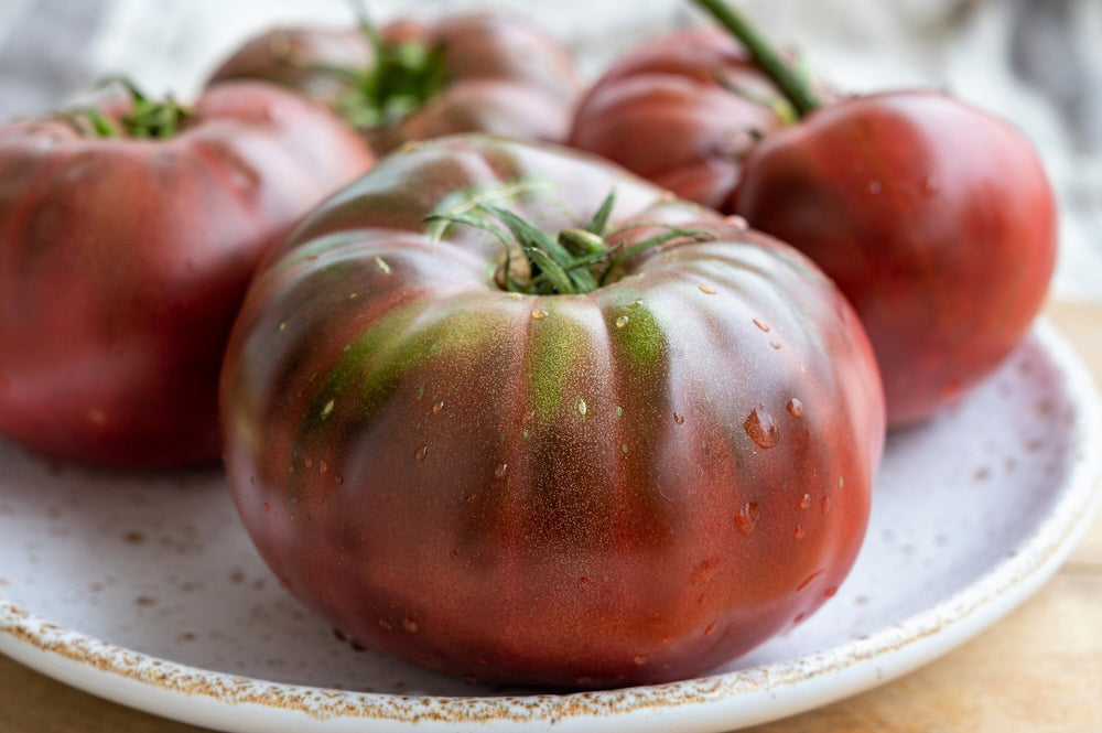 80 Black Krim Tomato (Solanum Lycopersicum) Seeds