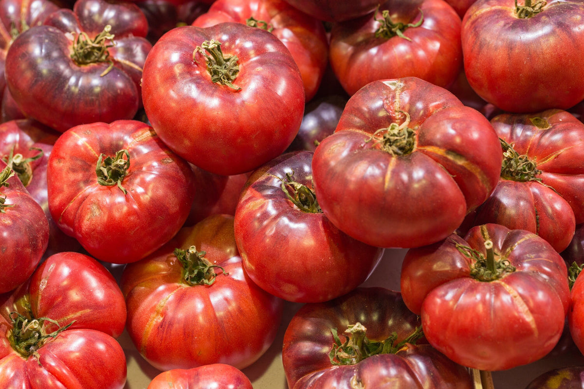 80 Black Krim Tomato (Solanum Lycopersicum) Seeds