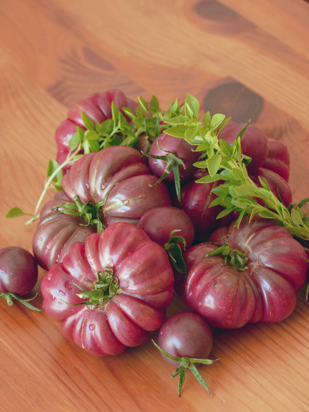 40 Purple Calabash Tomato (Solanum Lycopersicum) Seeds