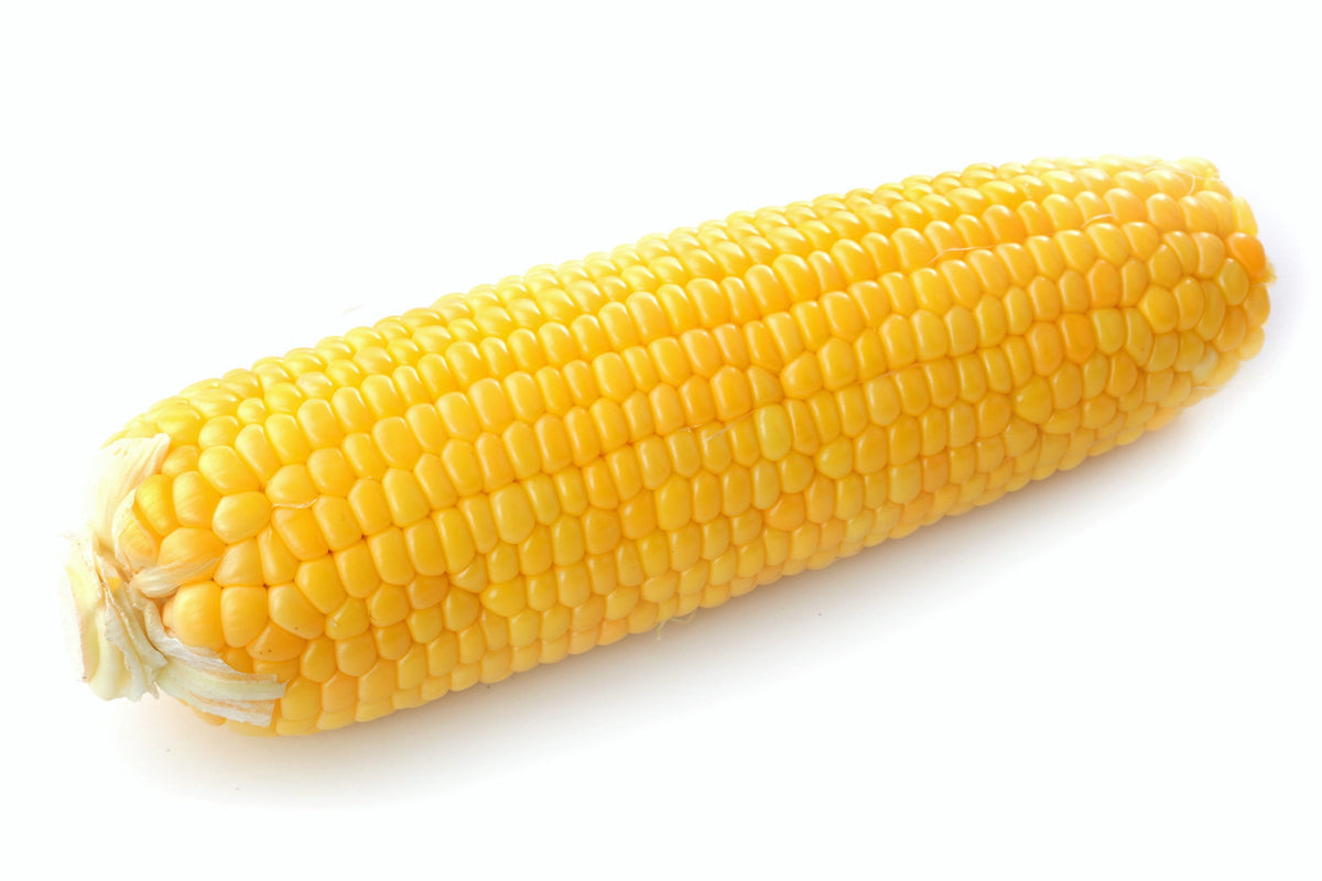 Kandy Korn Sweet Corn (Zea mays) Seeds – 50 ct
