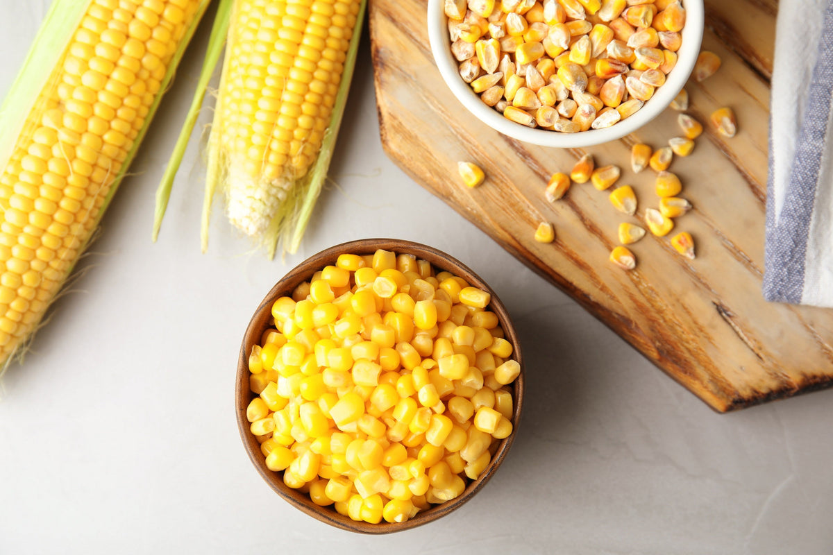 Kandy Korn Sweet Corn (Zea mays) Seeds – 50 ct