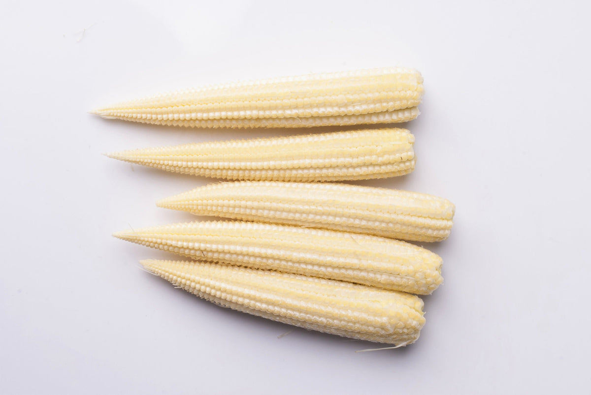 75 Baby Corn (Zea Mays) Seeds
