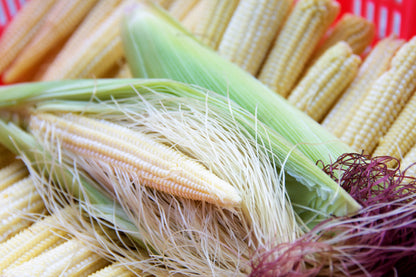 75 Baby Corn (Zea Mays) Seeds