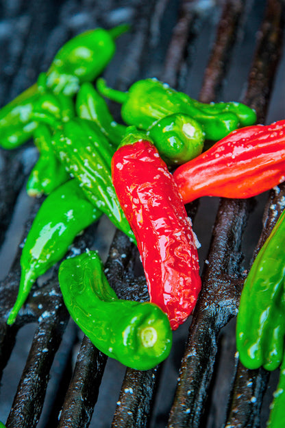 50 Shishito Pepper (Capsicum Annuum) Seeds