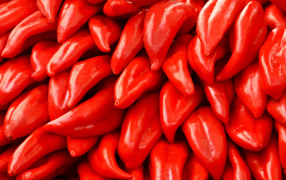 Big Jim Pepper (Capsicum annuum) Seeds – 100 ct