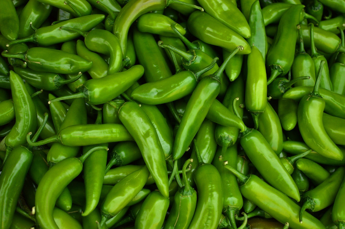 Big Jim Pepper (Capsicum annuum) Seeds – 100 ct