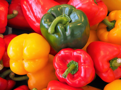 150 Rainbow Bell Pepper (Capsicum Annuum) Seeds