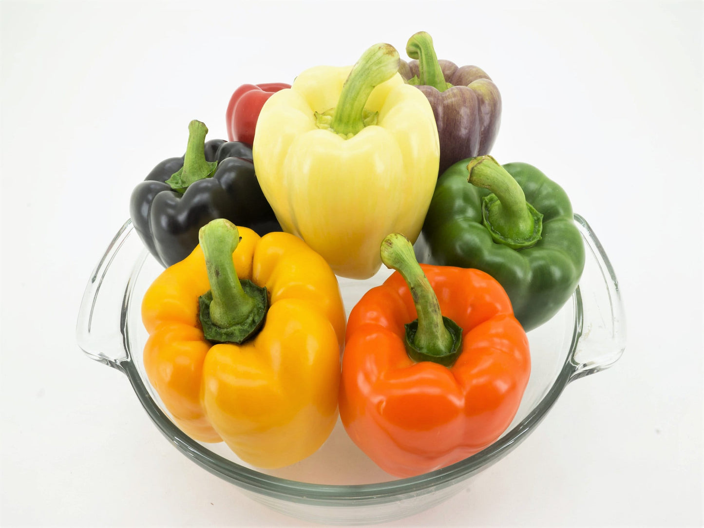 150 Rainbow Bell Pepper (Capsicum Annuum) Seeds
