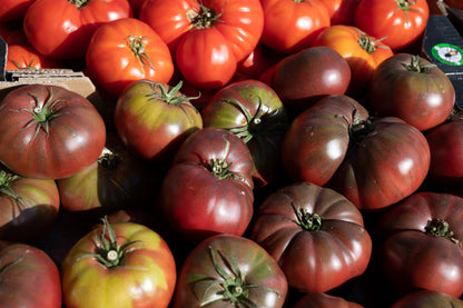 80 Black Krim Tomato (Solanum Lycopersicum) Seeds