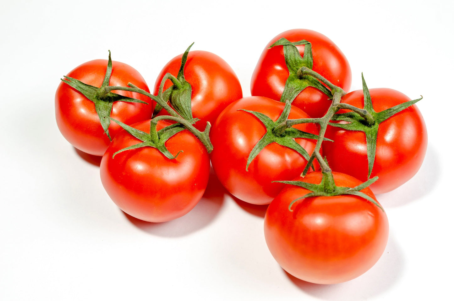 80 Sub Arctic Plenty Tomato (Solanum Lycopersicum) Seeds