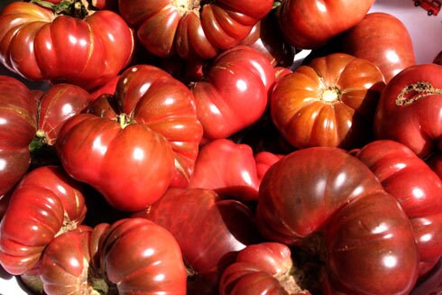 40 Purple Calabash Tomato (Solanum Lycopersicum) Seeds