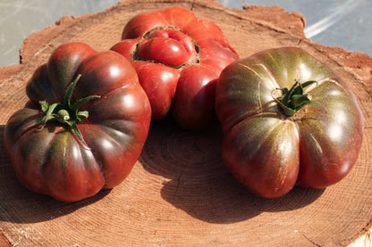 40 Purple Calabash Tomato (Solanum Lycopersicum) Seeds