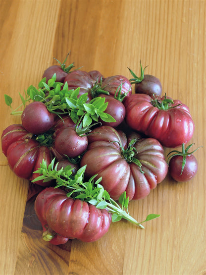 40 Purple Calabash Tomato (Solanum Lycopersicum) Seeds