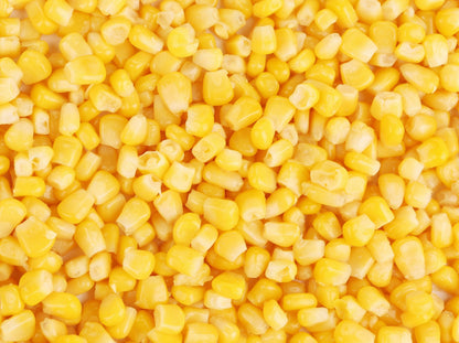 Kandy Korn Sweet Corn (Zea mays) Seeds – 50 ct