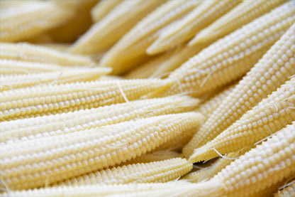 75 Baby Corn (Zea Mays) Seeds