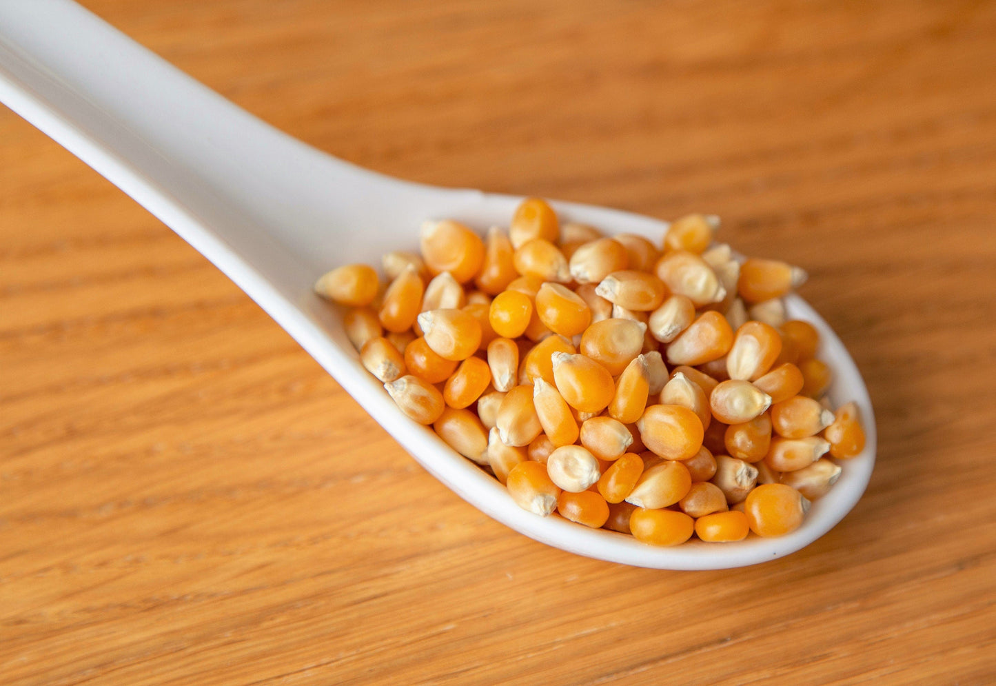 75 South American Yellow Popcorn (Zea Mays) Seeds