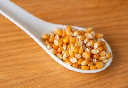 75 South American Yellow Popcorn (Zea Mays) Seeds