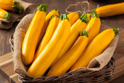 50 GOLDEN ZUCCHINI Heirloom Summer Bush Squash Cucurbita Pepo Yellow Vegetable Seeds