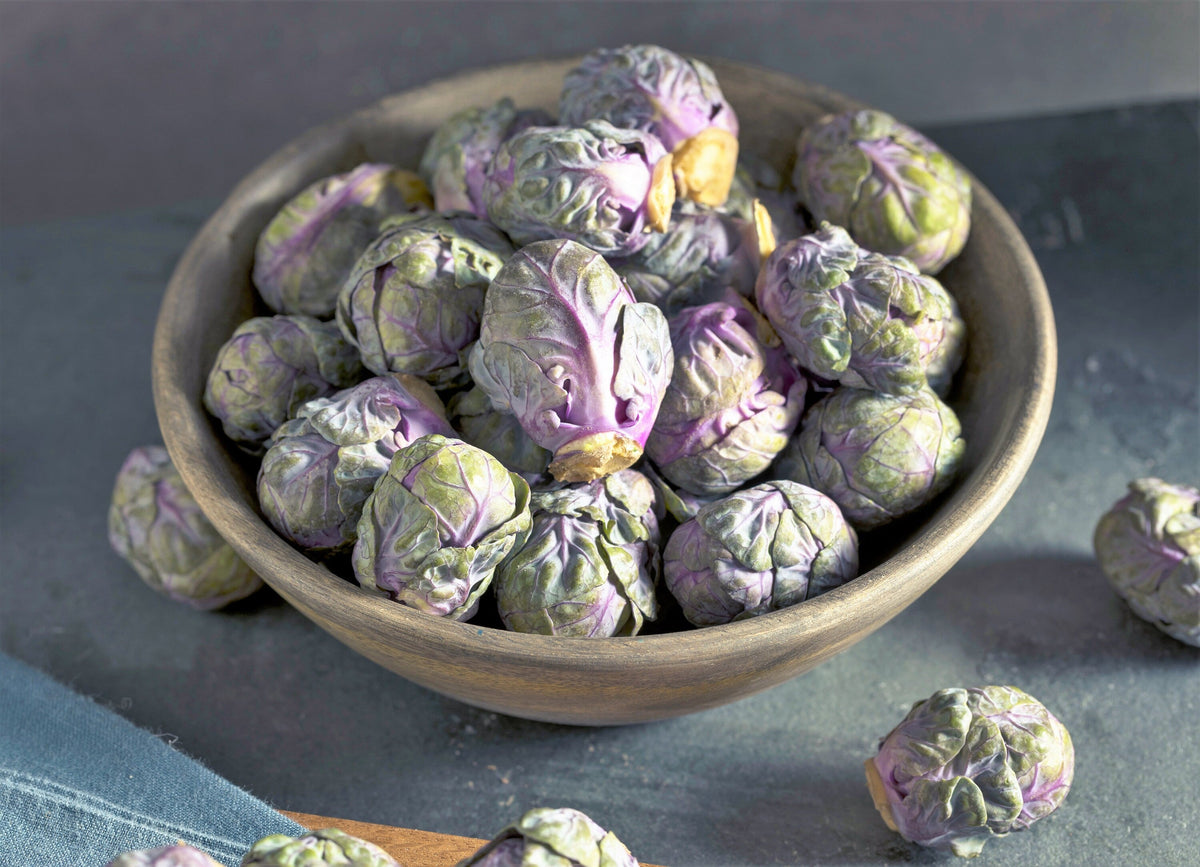 Red Ball Brussels Sprouts (Brassica oleracea var. gemmifera) Seeds – 70 ct