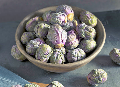 Red Ball Brussels Sprouts (Brassica oleracea var. gemmifera) Seeds – 70 ct