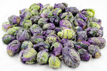 Red Ball Brussels Sprouts (Brassica oleracea var. gemmifera) Seeds – 70 ct