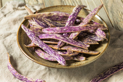 50 Dragon Tongue Wax Bean (Phaseolus Vulgaris) Seeds
