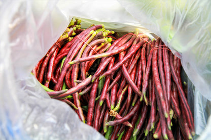 100 Red Ripper Cowpea (Vigna Unguiculata) Seeds