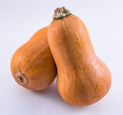 25 Organic HONEYNUT SQUASH aka Honey Butternut Squash Sweet Cucurbita Moschata Baby Buttercup Tan Skin Orange Flesh Seeds