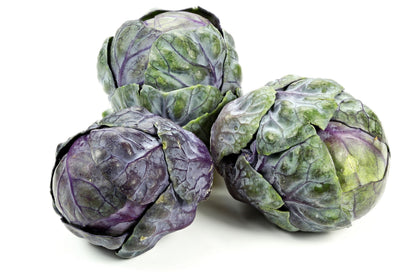 Red Ball Brussels Sprouts (Brassica oleracea var. gemmifera) Seeds – 70 ct