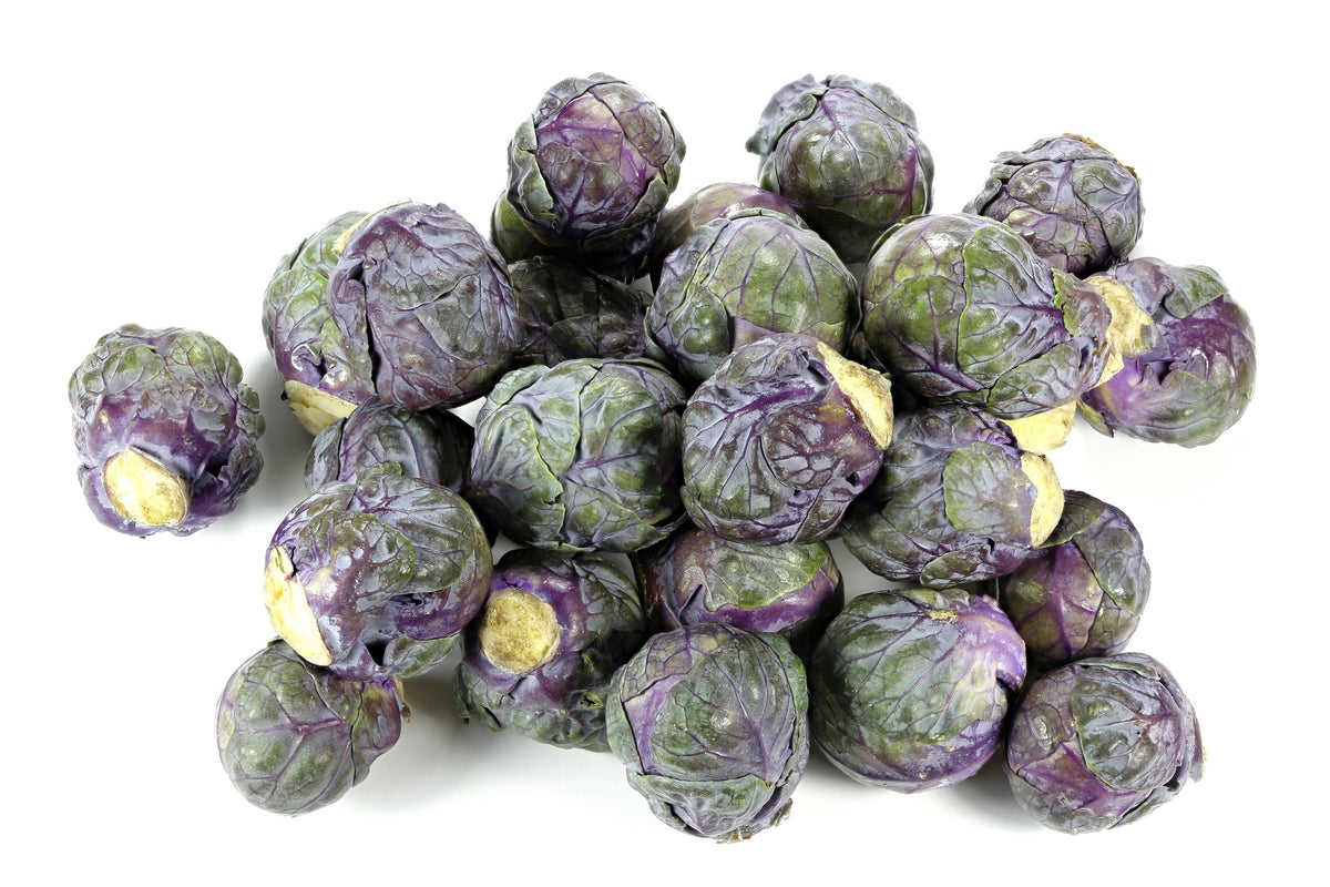Red Ball Brussels Sprouts (Brassica oleracea var. gemmifera) Seeds – 70 ct