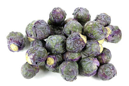 Red Ball Brussels Sprouts (Brassica oleracea var. gemmifera) Seeds – 70 ct