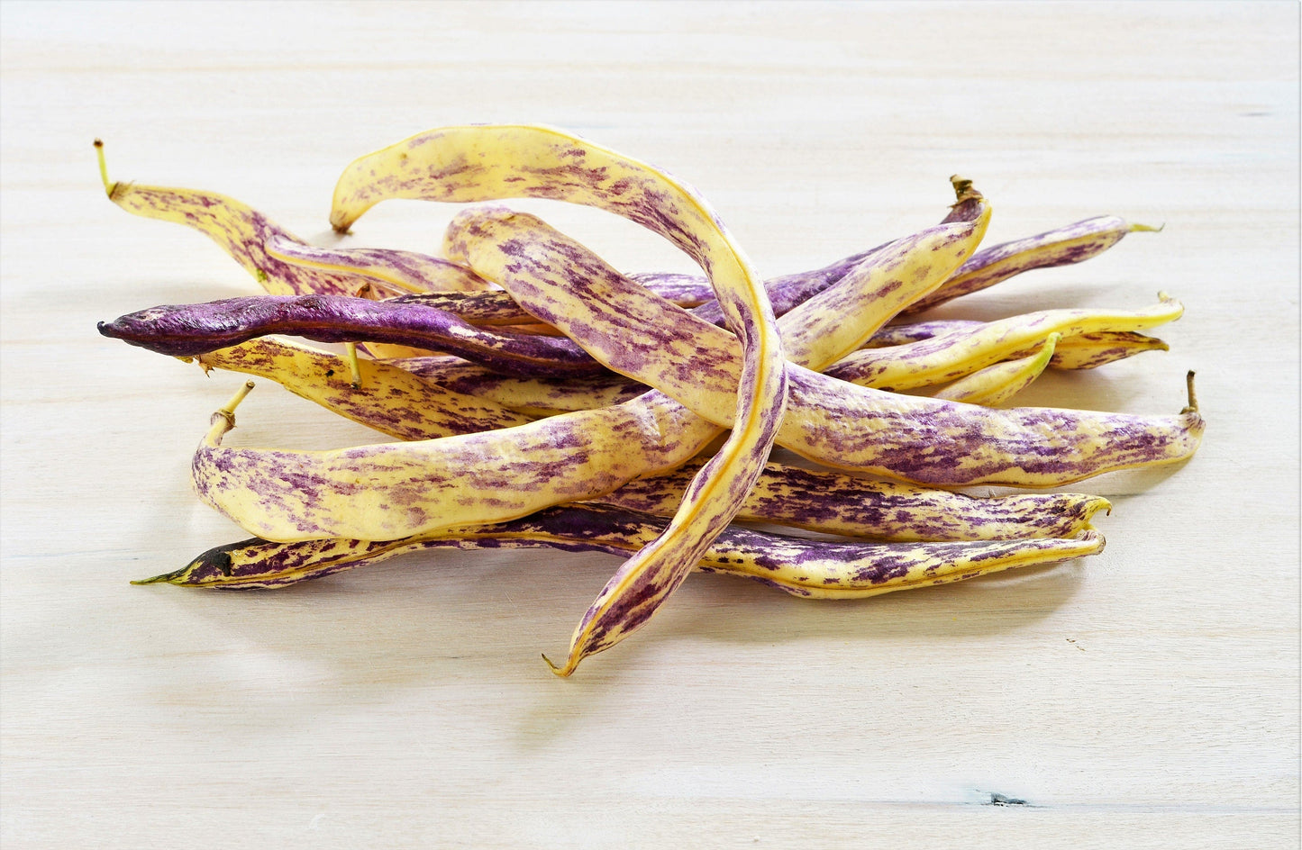 50 Dragon Tongue Wax Bean (Phaseolus Vulgaris) Seeds